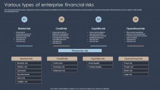 Various Types Of Enterprise Financial Risks Erm Program Ppt Professional Information