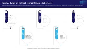 Various Types Of Market Segmentation Behavioral Navigating The Information Technology Landscape MKT SS V