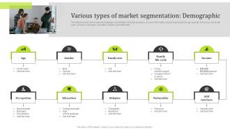 Various Types Of Market Segmentation Demographic State Of The Information Technology Industry MKT SS V