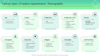 Various Types Of Market Segmentation Demographic Trends And Opportunities In The Information MKT SS V