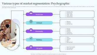Various Types Of Market Segmentation Psychographic IT Industry Market Analysis Trends MKT SS V