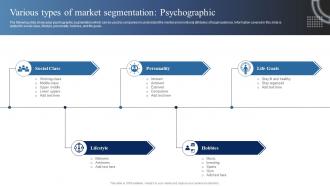 Various Types Of Market Segmentation Psychographic Market Analysis Of Information Technology