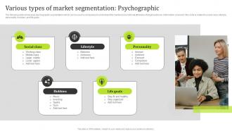 Various Types Of Market Segmentation Psychographic State Of The Information Technology Industry MKT SS V