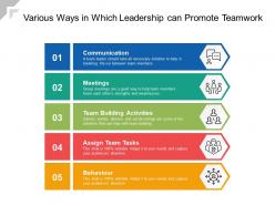 Various ways in which leadership can promote teamwork