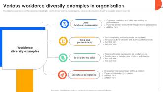 Various Workforce Diversity Examples In Organisation