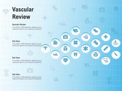 Vascular review ppt powerpoint presentation infographics designs