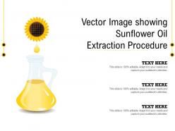 Vector Image Showing Sunflower Oil Extraction Procedure