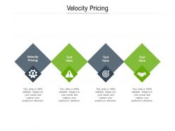 Velocity pricing ppt powerpoint presentation ideas designs cpb