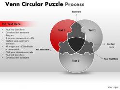 Venn circular puzzle process 16