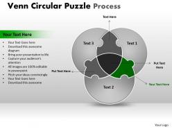 Venn circular puzzle process 16