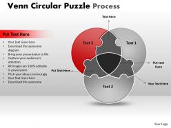 Venn circular puzzle process templates 2
