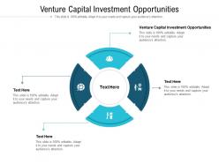 Venture capital investment opportunities ppt powerpoint presentation file graphics cpb