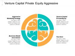 Venture capital private equity aggressive marketing strategy business model innovations cpb