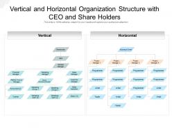 Vertical and horizontal organization structure with ceo and share holders