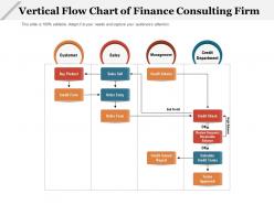 Vertical flow chart of finance consulting firm