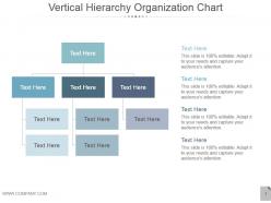 Vertical hierarchy organization chart ppt design