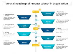 Vertical roadmap of product launch in organization