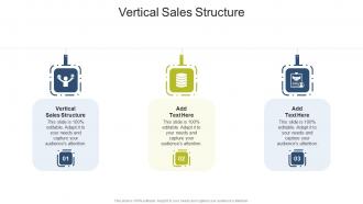 Vertical Sales Structure In Powerpoint And Google Slides Cpb
