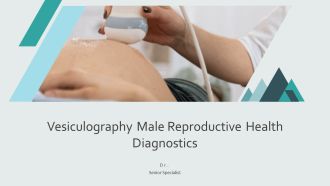 Vesiculography Male Reproductive Health Diagnostics PPT Mockup AT