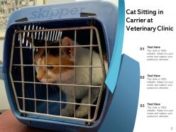 Veterinary Examines Treatment Elizabethan Integrated Services