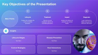 Veterinary Parasitology Understanding Life Cycles PPT Information AT Aesthatic Content Ready
