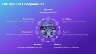 Veterinary Parasitology Understanding Life Cycles PPT Information AT Pre-designed Content Ready