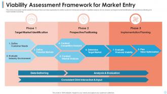 Viability Assessment Framework For Market Entry