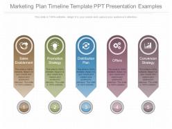 View marketing plan timeline template ppt presentation examples