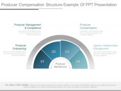 View producer compensation structure example of ppt presentation