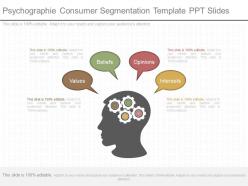 View Psychographie Consumer Segmentation Template Ppt Slides
