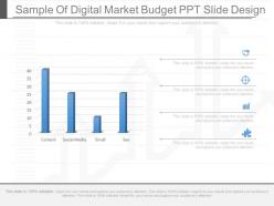 View sample of digital market budget ppt slide design