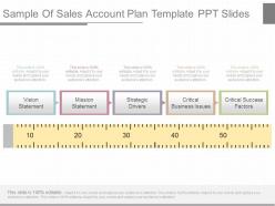 View sample of sales account plan template ppt slides