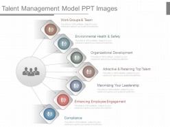 View talent management model ppt images