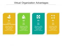 Virtual organization advantages ppt powerpoint presentation summary portfolio cpb