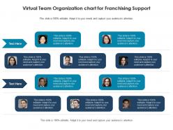 Virtual team organization chart for franchising support infographic template