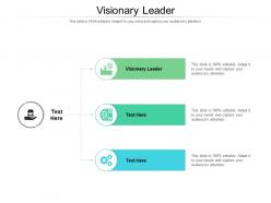 Visionary leader ppt powerpoint presentation ideas design ideas cpb