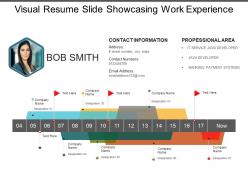 Visual resume slide showcasing work experience
