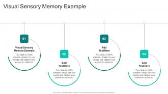 Visual Sensory Memory Example In Powerpoint And Google Slides Cpb