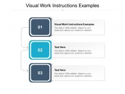 Visual work instructions examples ppt powerpoint presentation ideas maker cpb