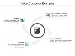 Voice customer examples ppt powerpoint presentation ideas example cpb