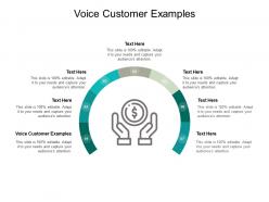 Voice customer examples ppt powerpoint presentation infographics cpb
