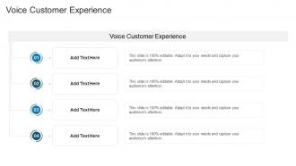 Voice Customer Experience In Powerpoint And Google Slides Cpb