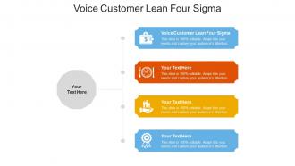 Voice customer lean four sigma ppt powerpoint presentation gallery graphics pictures cpb