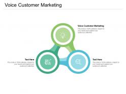 Voice customer marketing ppt powerpoint presentation outline aids cpb