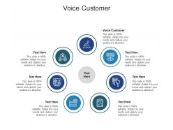 Voice customer ppt powerpoint presentation ideas topics cpb