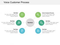 Voice customer process ppt powerpoint presentation styles cpb