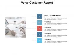 Voice customer report ppt powerpoint presentation portfolio show cpb