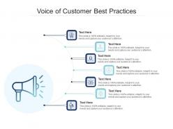 Voice of customer best practices infographic template