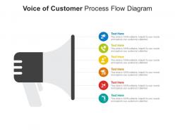 Voice of customer process flow diagram infographic template