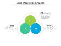 Voice pattern identification ppt powerpoint presentation professional pictures cpb